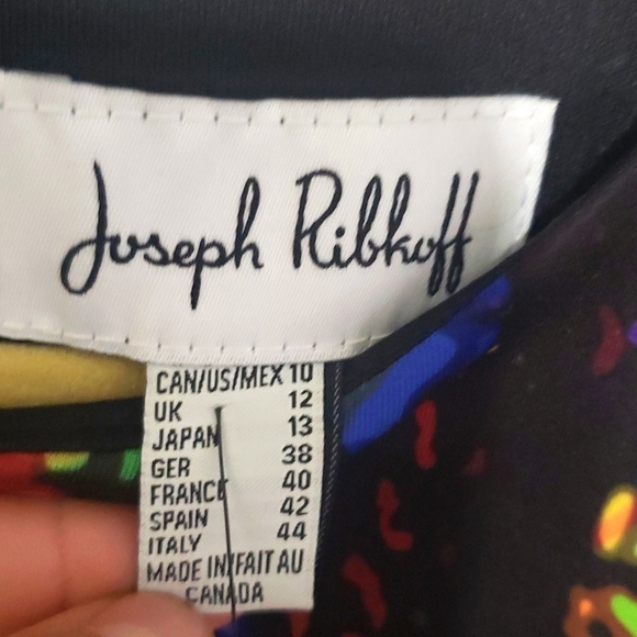 NWT Joseph Ribkoff Print Dress With Mesh 3/4 Sleeves Bright Dress, Size 10 - Picture 8 of 17